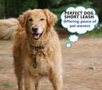 Nine inch dog grab tab leash laid flat showing compact size