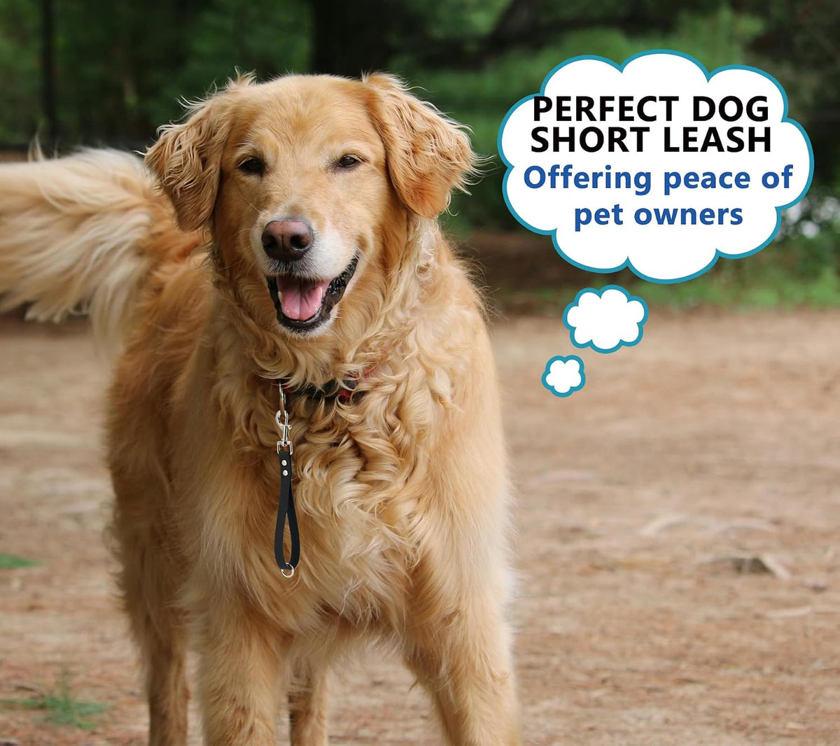 Nine inch dog grab tab leash laid flat showing compact size