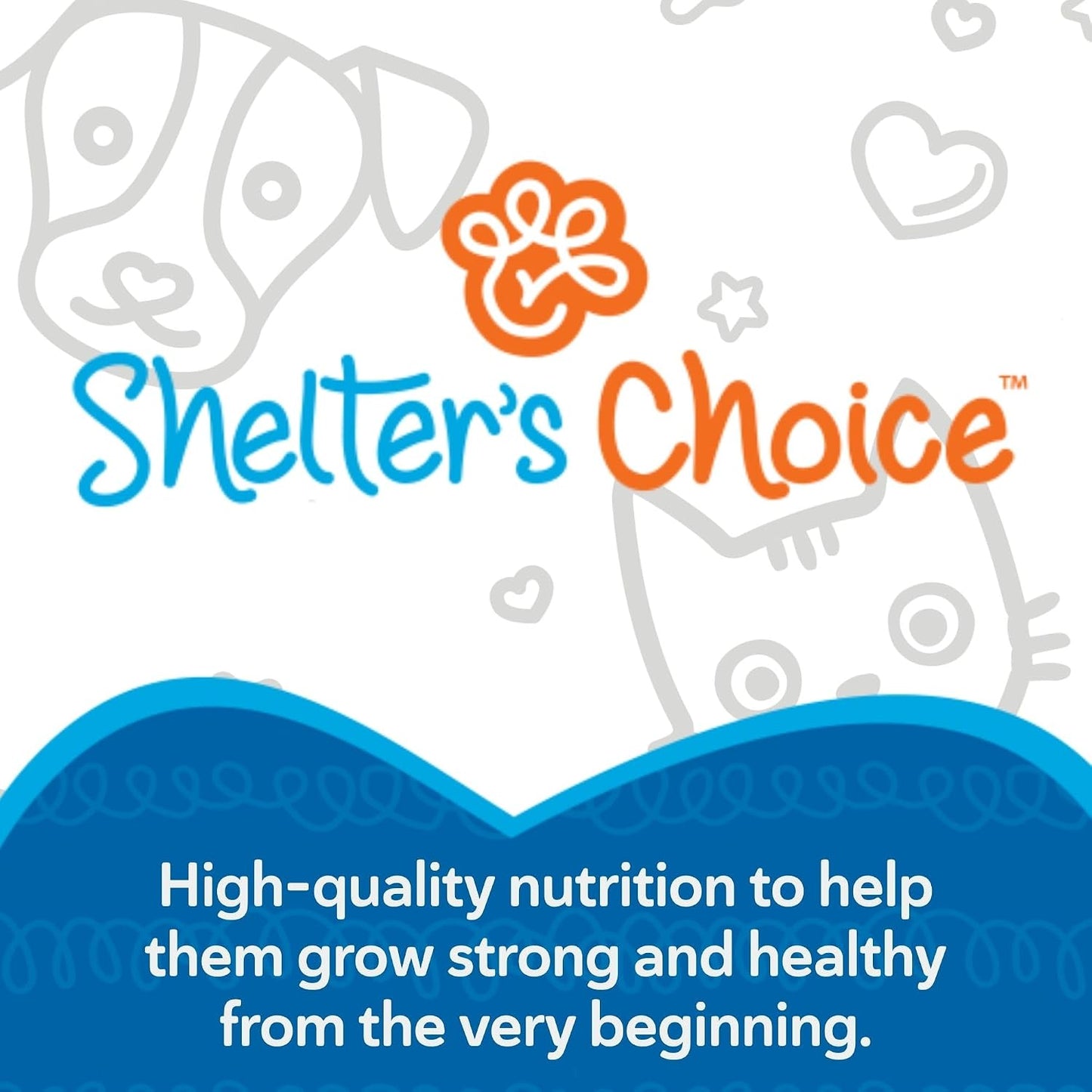 Shelter's Choice kitten milk replacer bag showing nutritional benefits and directions