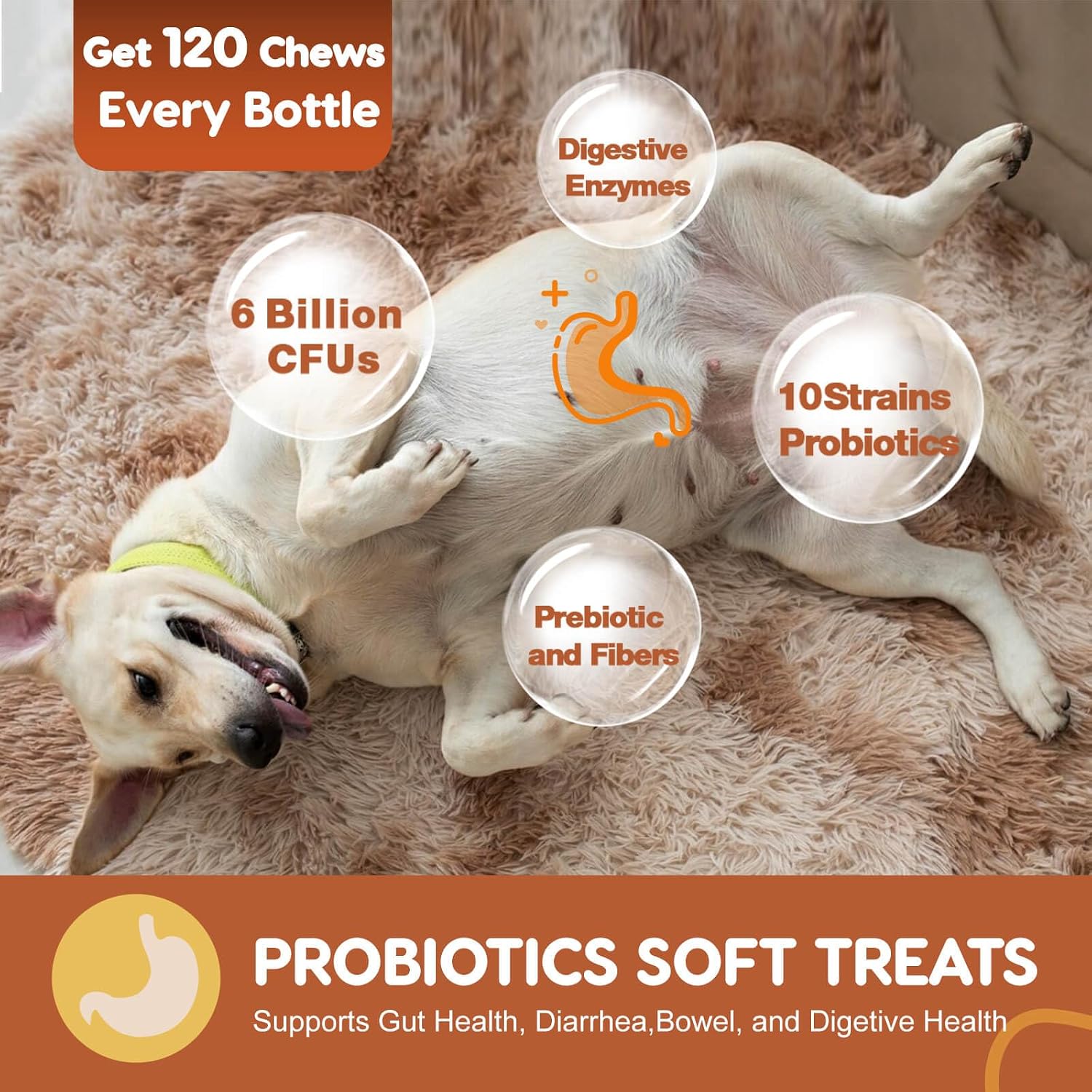 Zebora probiotics soft chews with fish oil and pumpkin