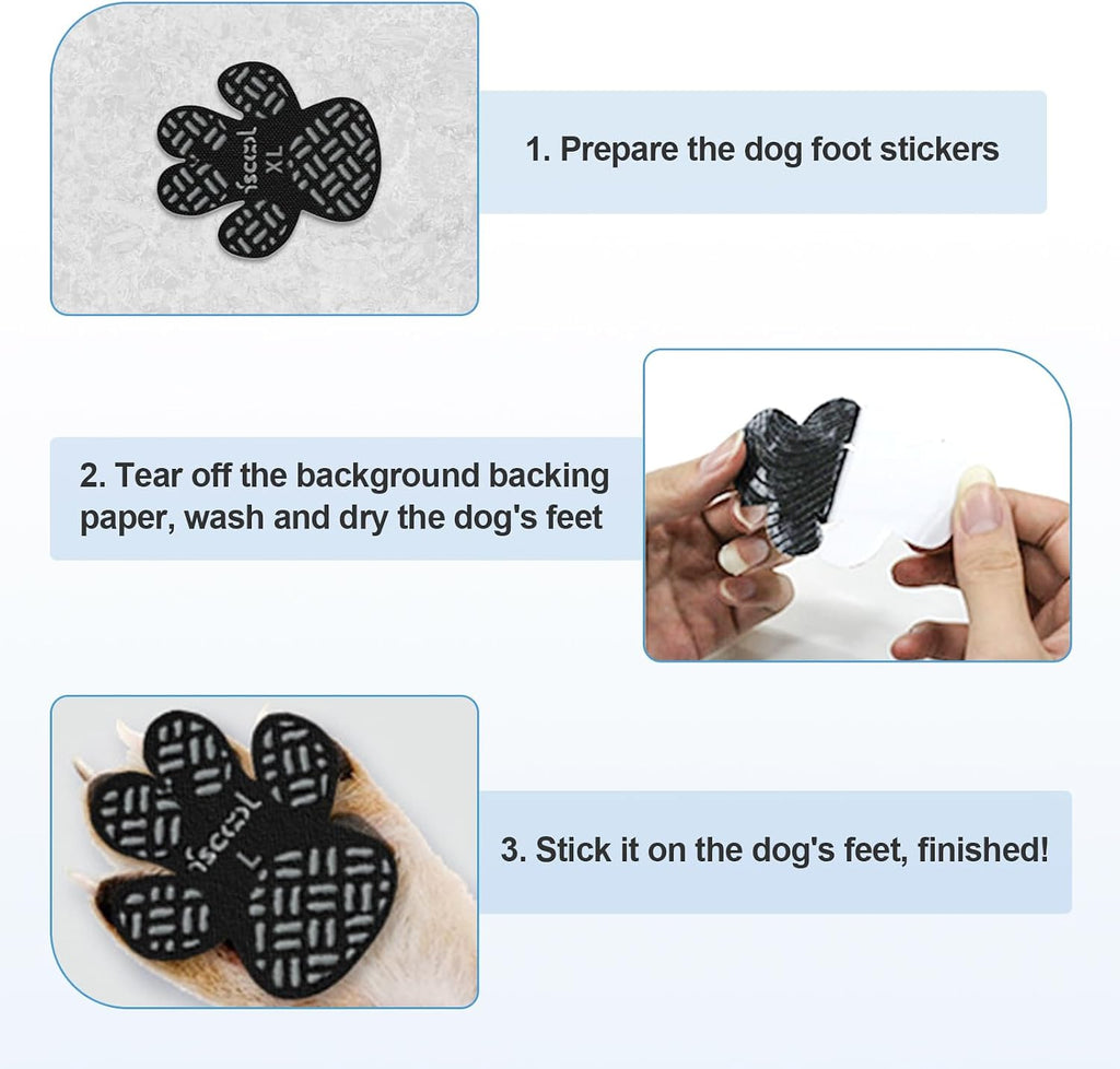 Dog wearing self adhesive traction grips on hardwood floor