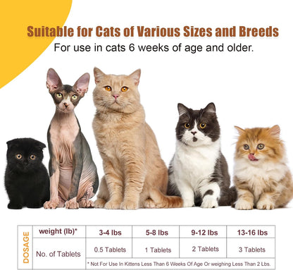 Authentic Alltripal feline intestinal health supplement container details