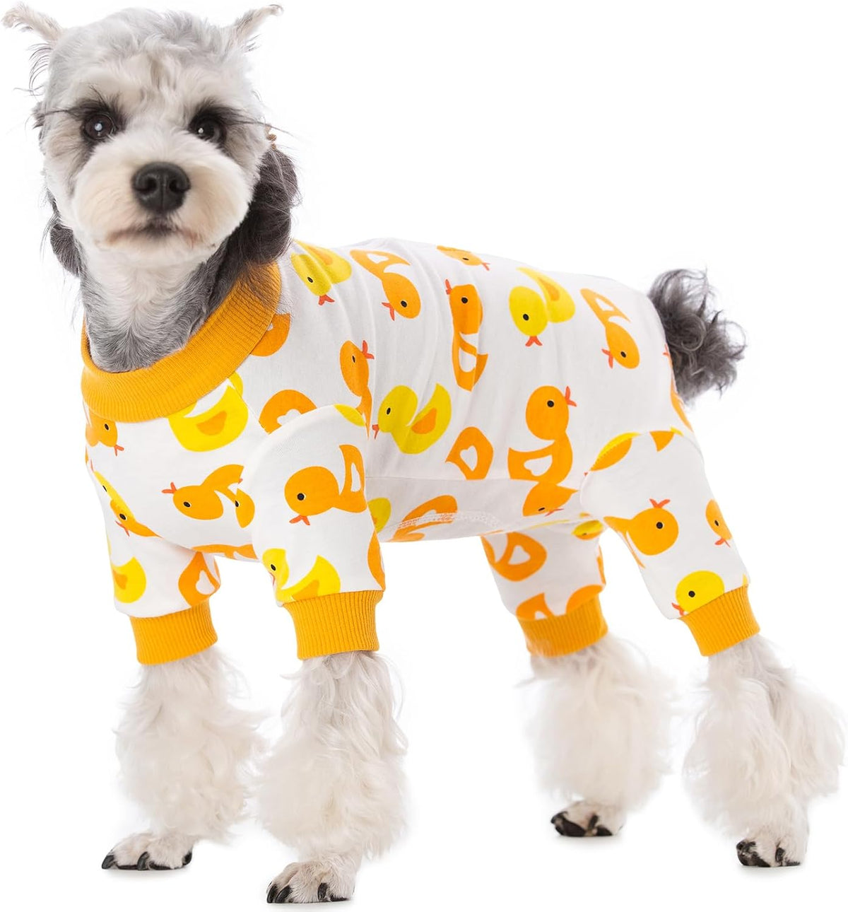AITOLI medical pet recovery garment showing stretchable sizing specifications