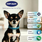 Fipukin waterproof flea collar on small dog