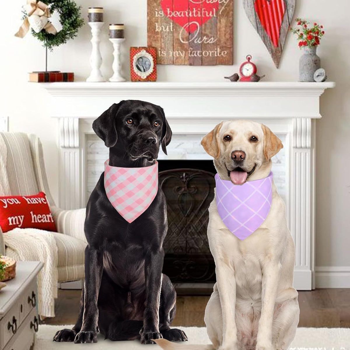 Two pack Agroon pet handkerchiefs with reversible pattern