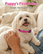 Joytale reflective nylon collar for small dogs