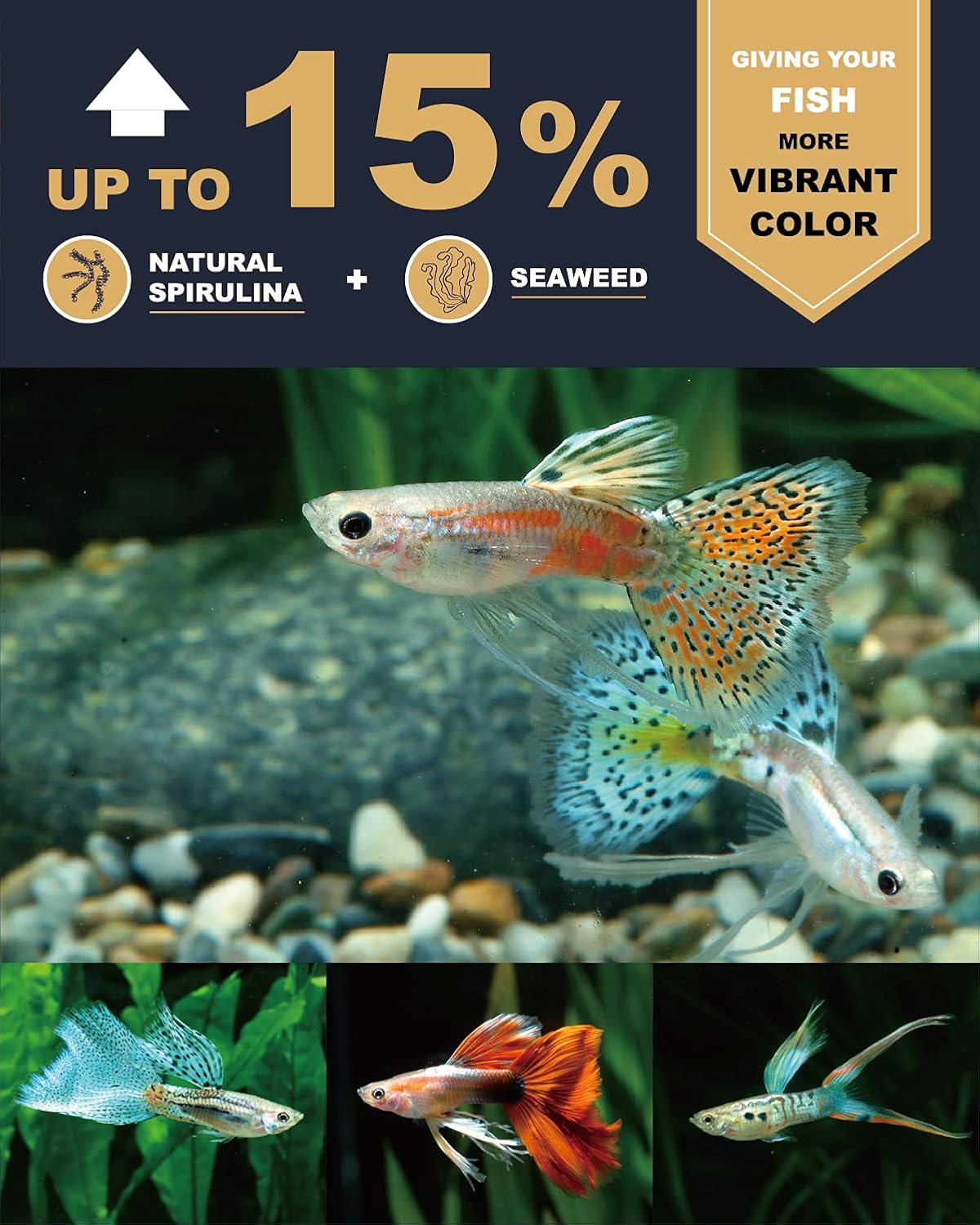 Premium sword prawn and spirulina formula aquarium fish feed for bright colors