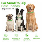 FurLife pet supplies flea and tick prevention label