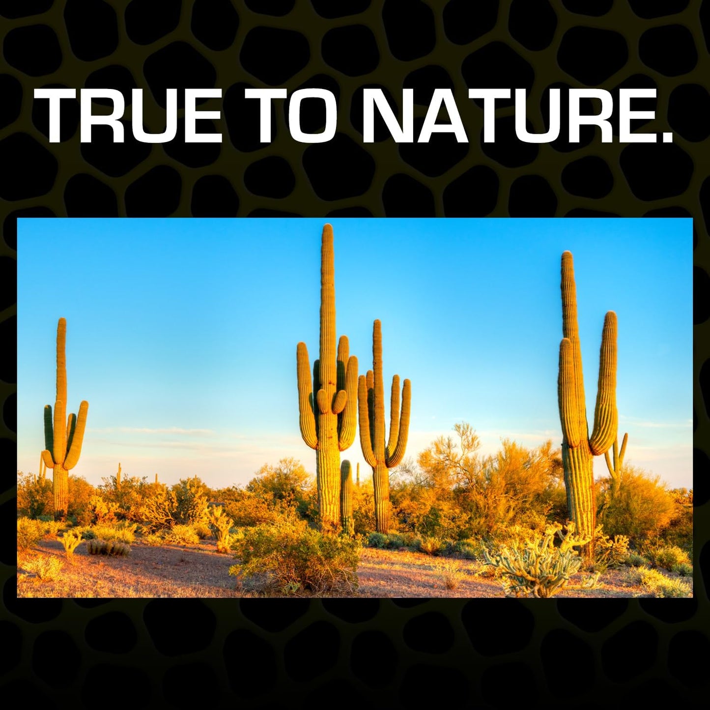 Exo Terra natural desert sand packaging details
