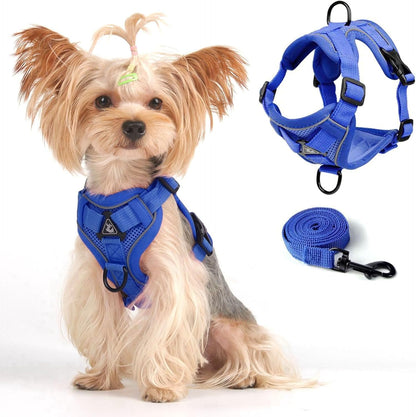 Juliyeh comfort fit puppy harness set adjustable straps view
