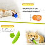 Durable cotton rope toys for tug of war play