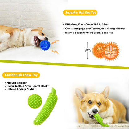 Durable cotton rope toys for tug of war play