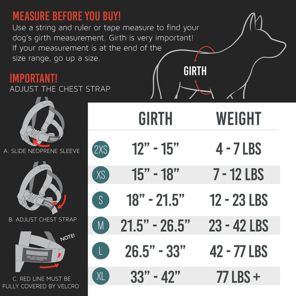 EzyDog walking harness displaying reflective stitching detail
