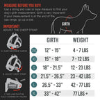 EzyDog walking harness displaying reflective stitching detail