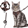 Large Cat Harness & Leash Set, Escape-Proof Soft Vest for Outdoor Walking - Image 1