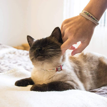 Pettsie kitten collar displaying the vintage metal D-ring and stainless steel ID tag tube accessory