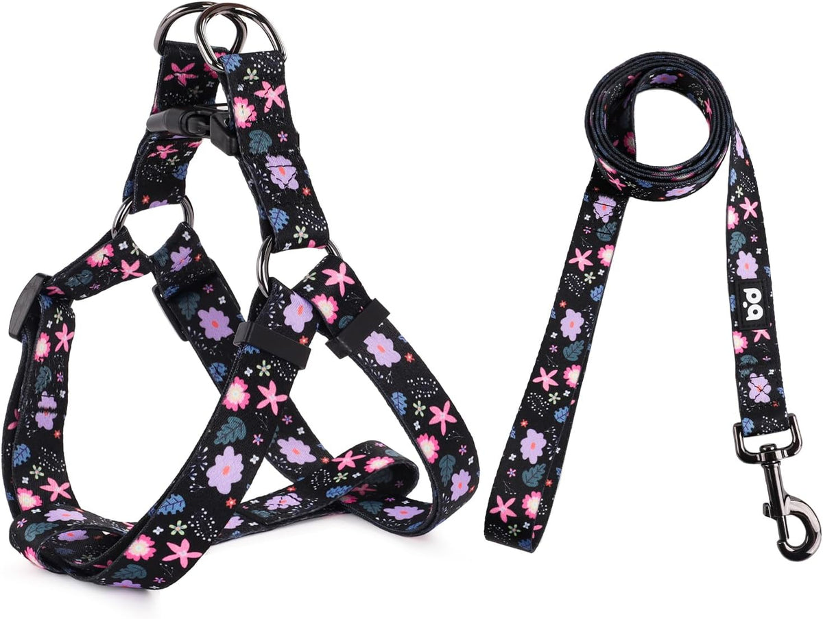 QQPETS dog harness and leash set laid out flat