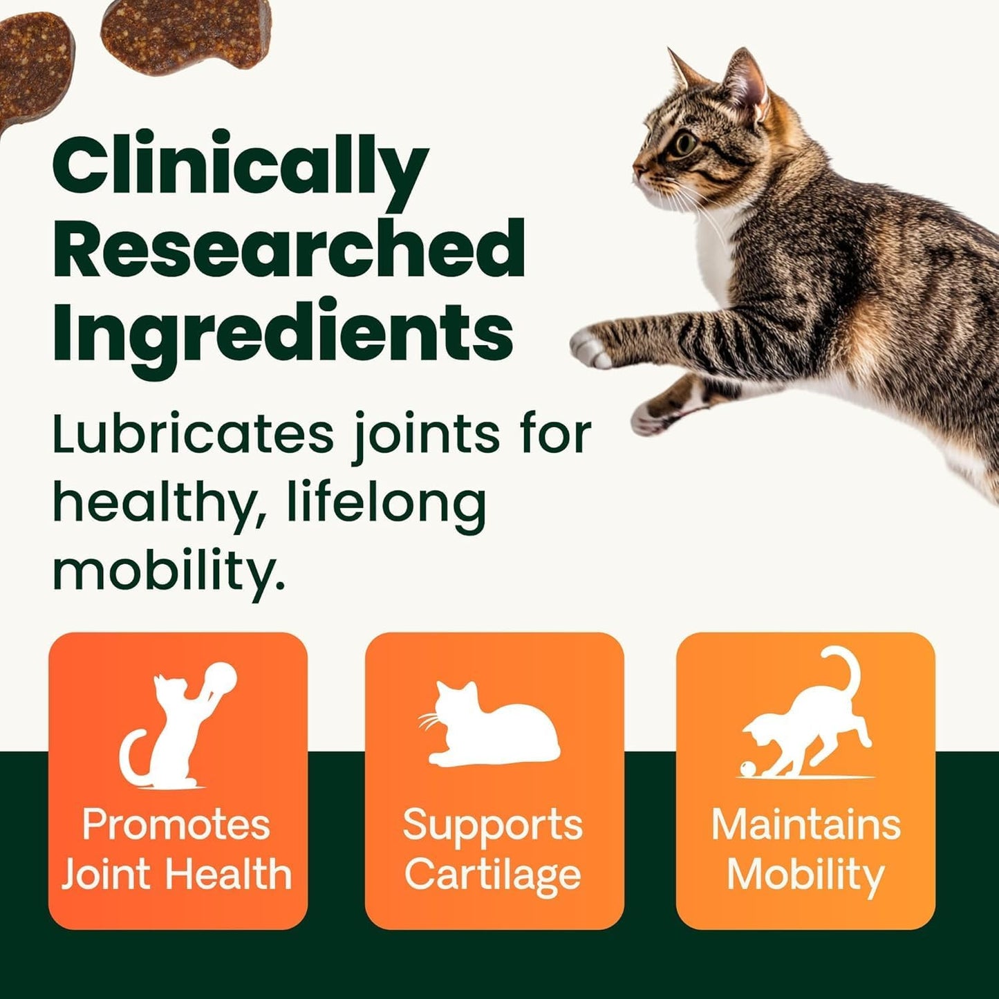 VetriScience extra strength hip and joint supplement for cats