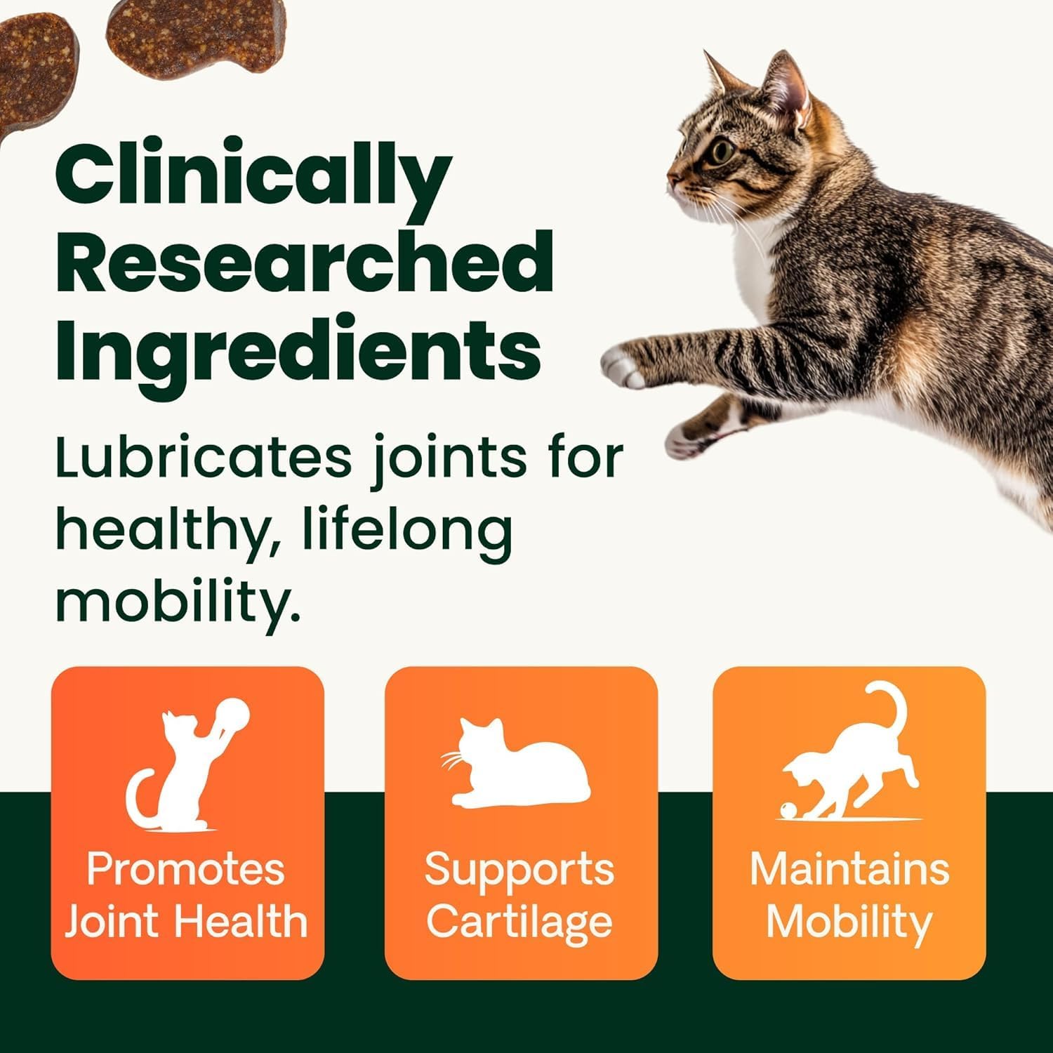 VetriScience extra strength hip and joint supplement for cats