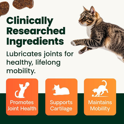 VetriScience extra strength hip and joint supplement for cats
