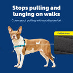 PetSafe no pull harness featuring reflective safety straps