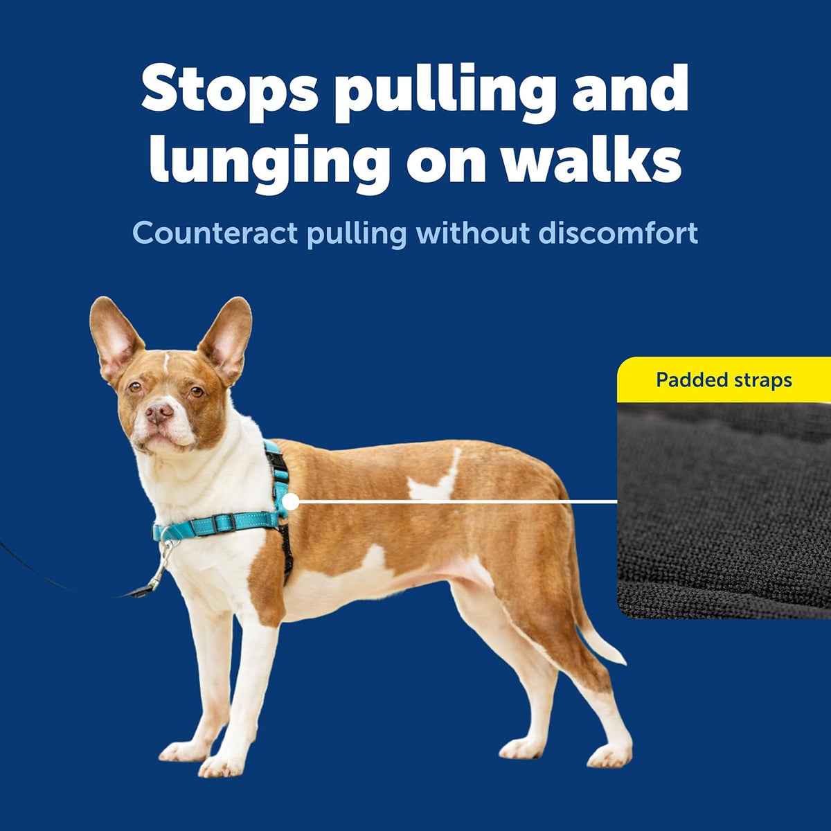 PetSafe no pull harness featuring reflective safety straps