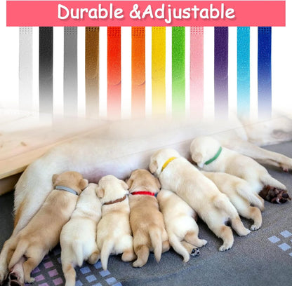 Bilkeru whelping identification bands showing the precise width and length dimensions for newborn kittens and dogs.