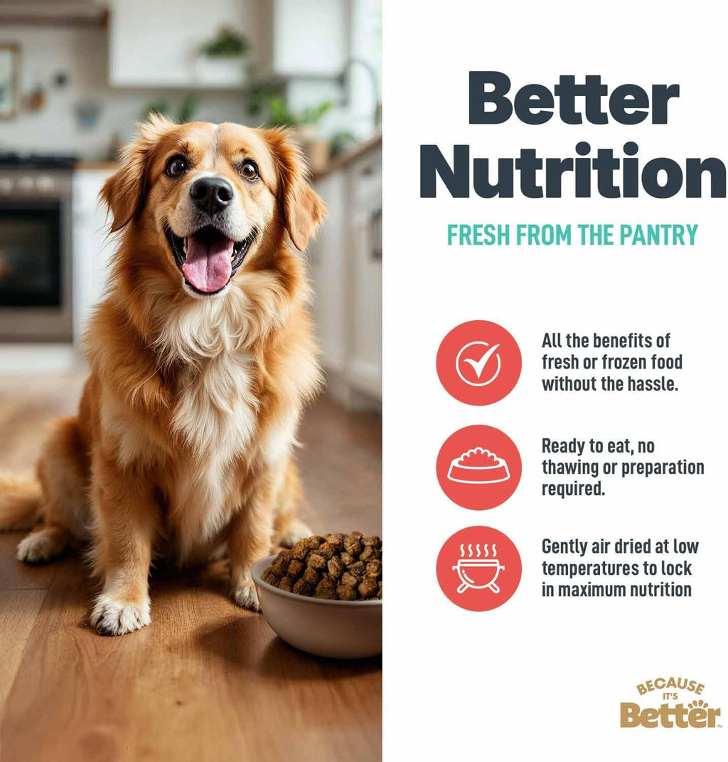 Premium semi moist real beef dog food for picky eaters