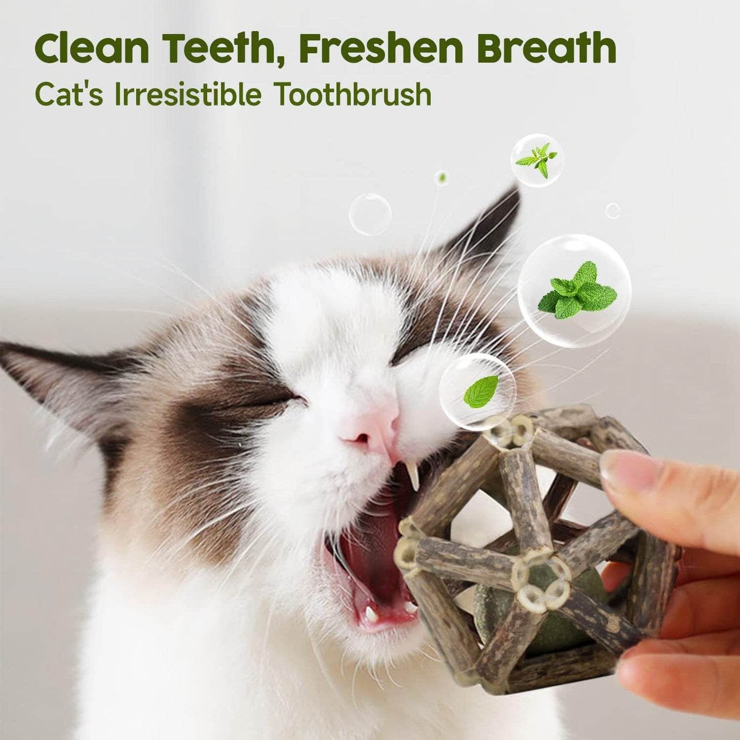 Potaroma cat dental health chew toy packaging