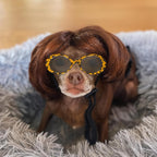 Mesinurs pet headwear in original product packaging