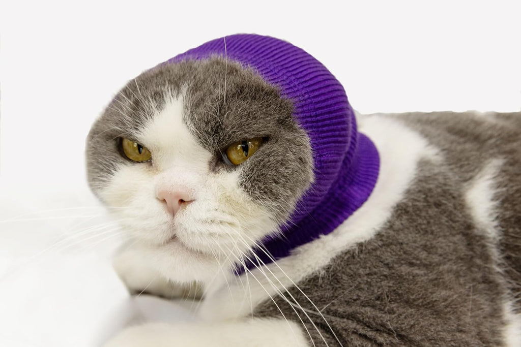 Detailed view of elastic cat snood for injury protection
