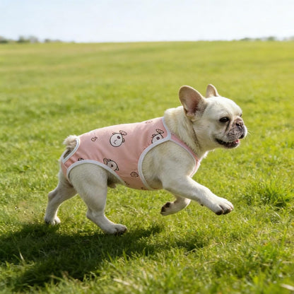 Close up of the adjustable elastic straps on the dreamls pet harness.