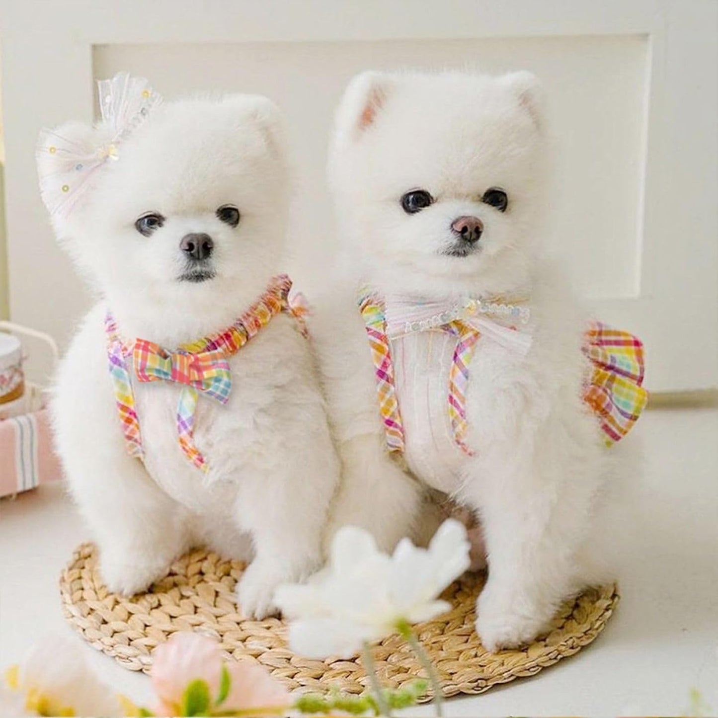 Close up of smocked bodice and decorative bow on lightweight dog dress