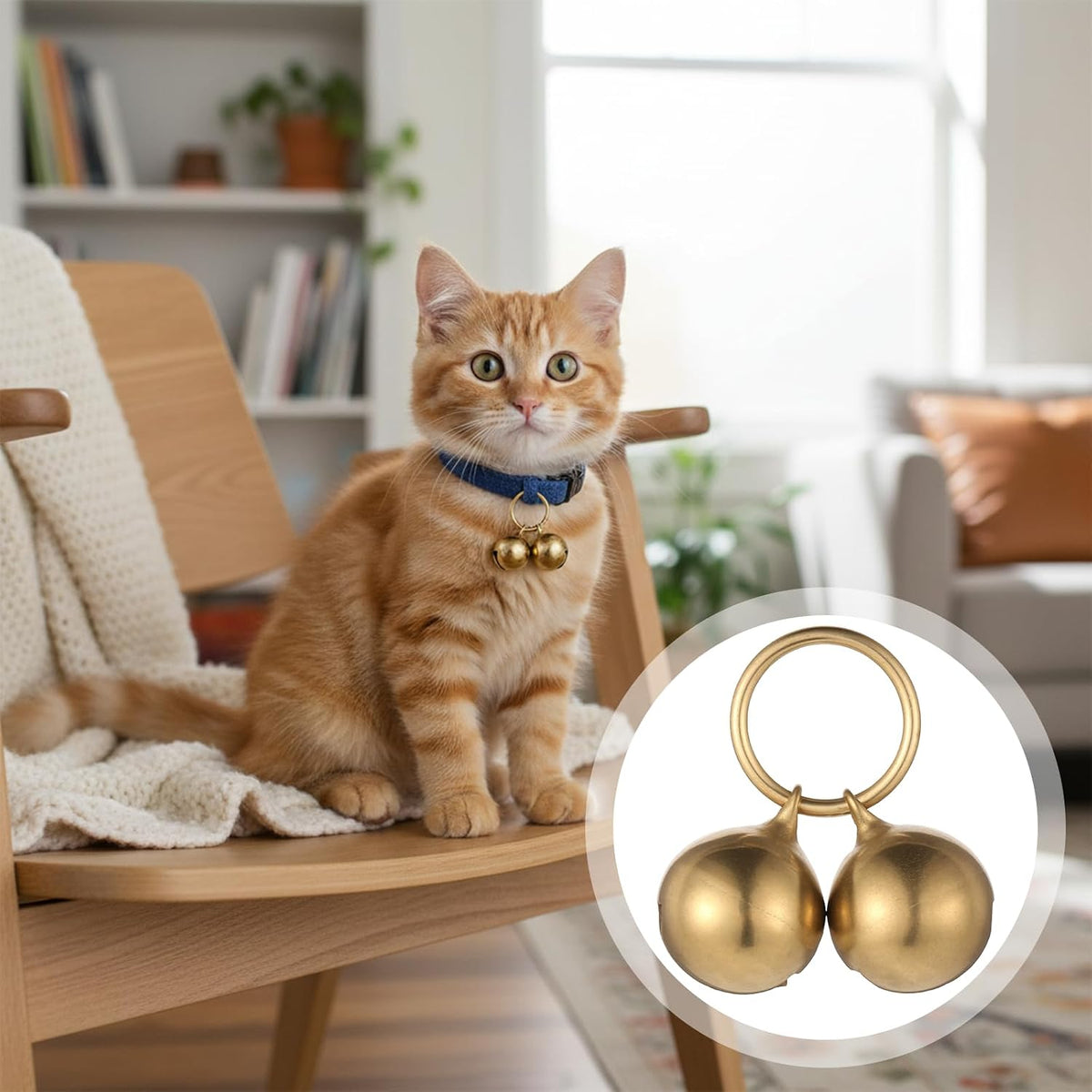 Durable rust resistant brass training pendant for small dog collars