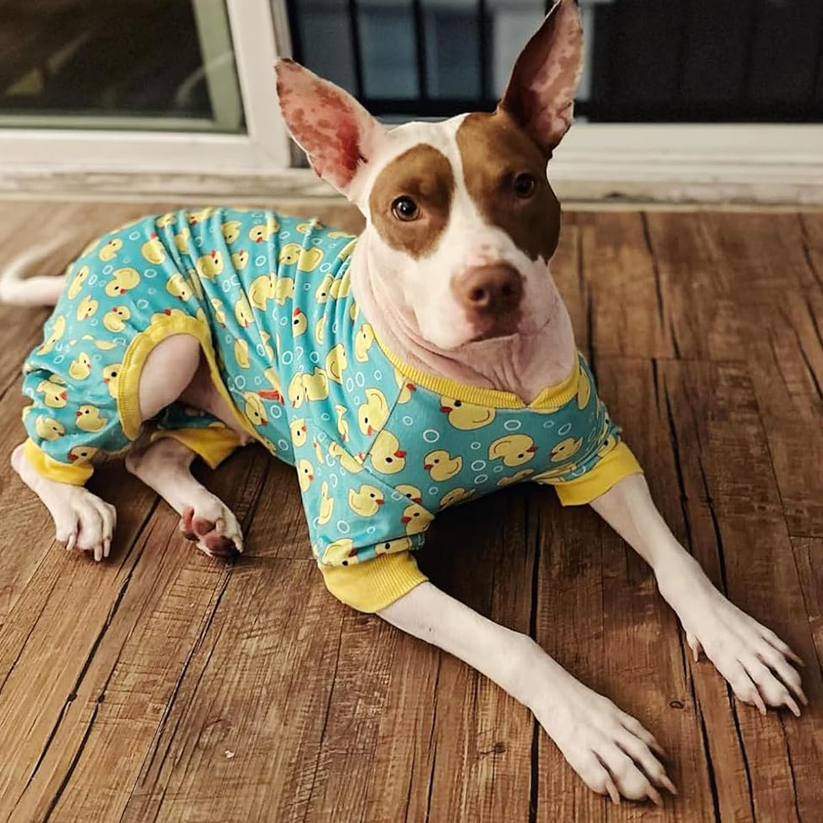 Side view of Kyeese velvet dog onesie for medium dogs