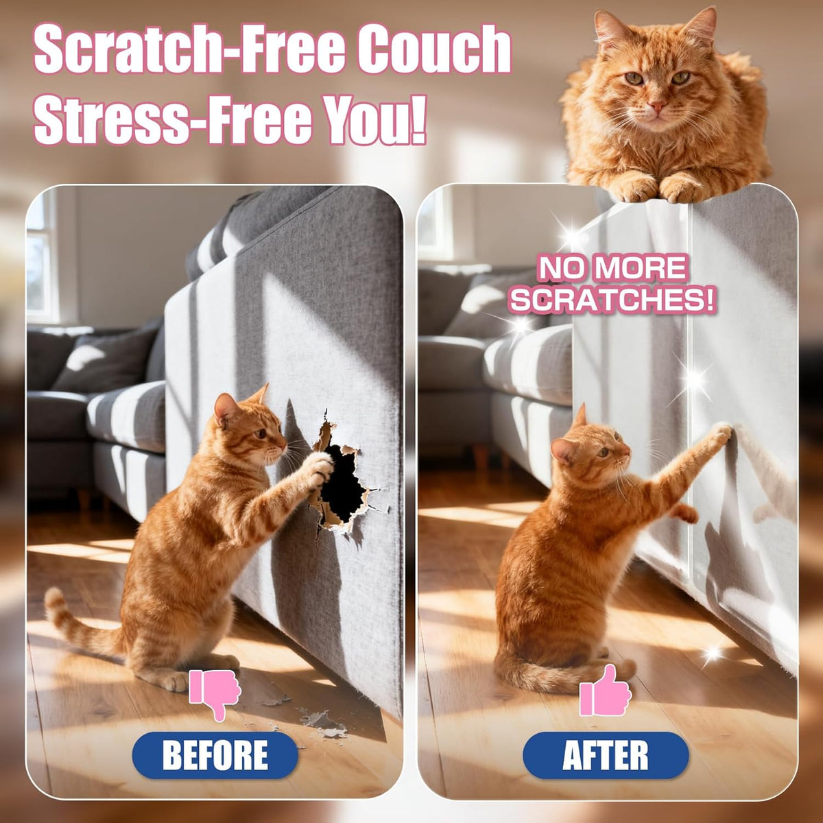 Application of adhesive cat scratch sheet on armchair