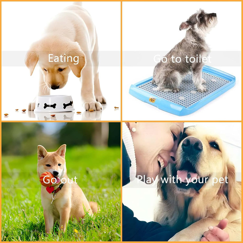 White metal call bell for pet house training