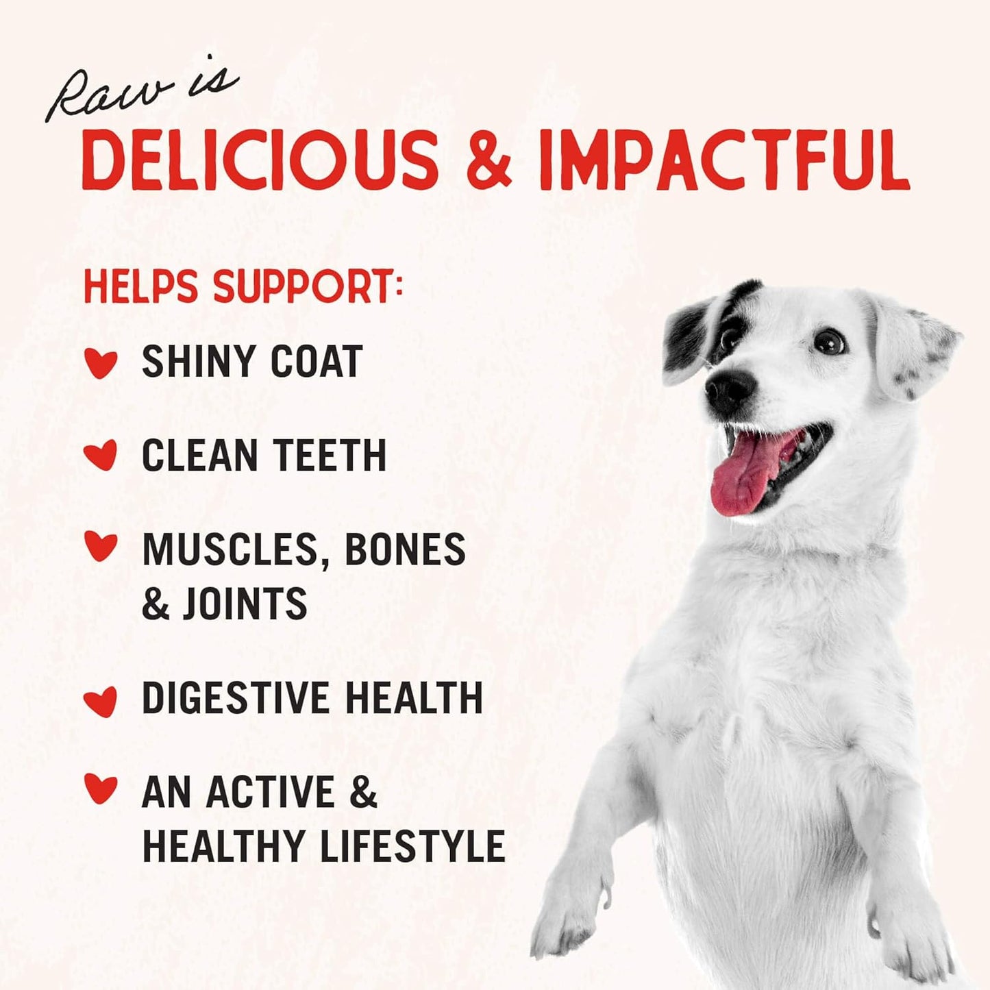 Stella and Chewys dog treats pure beef liver single ingredient bag back panel