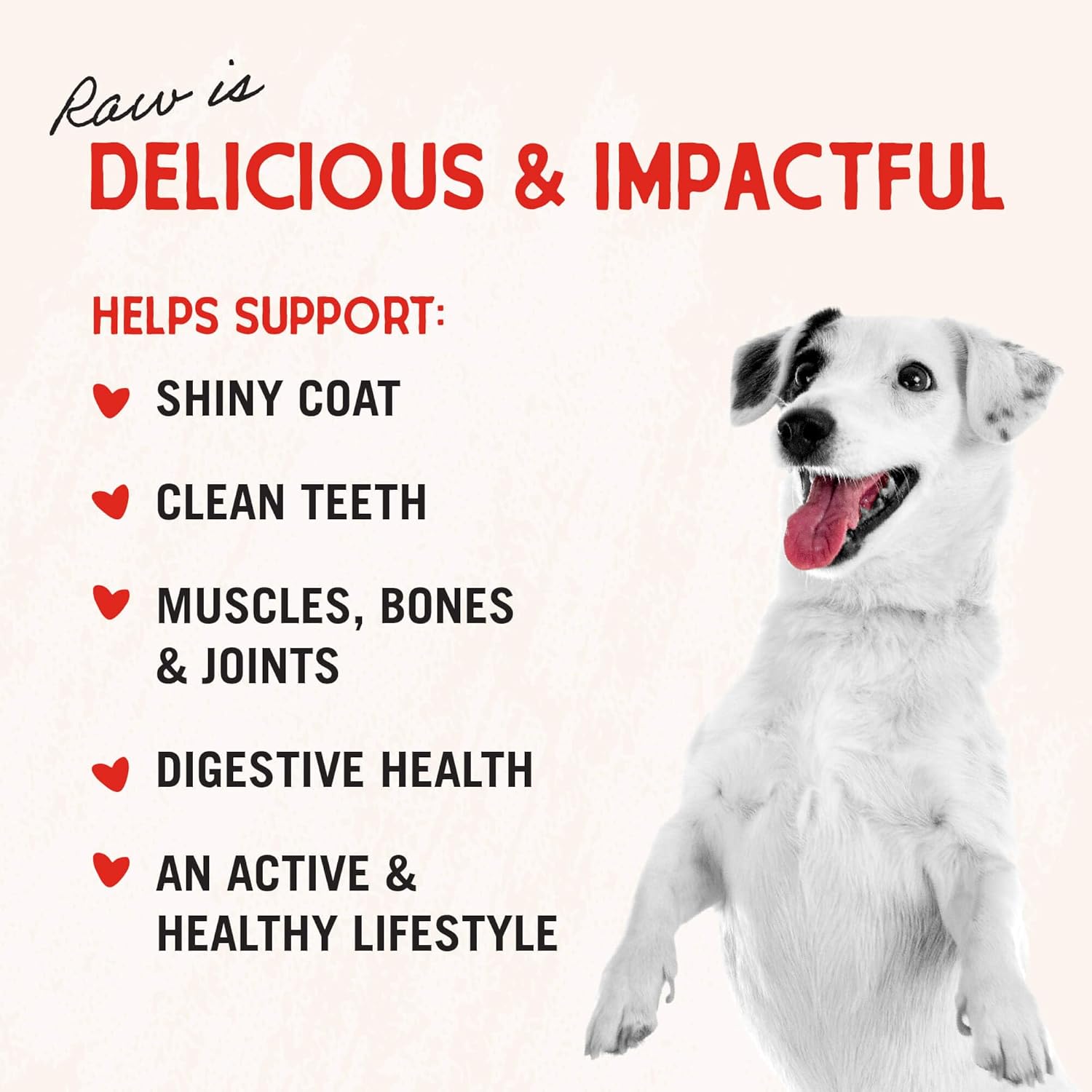 Stella and Chewys dog treats pure beef liver single ingredient bag back panel
