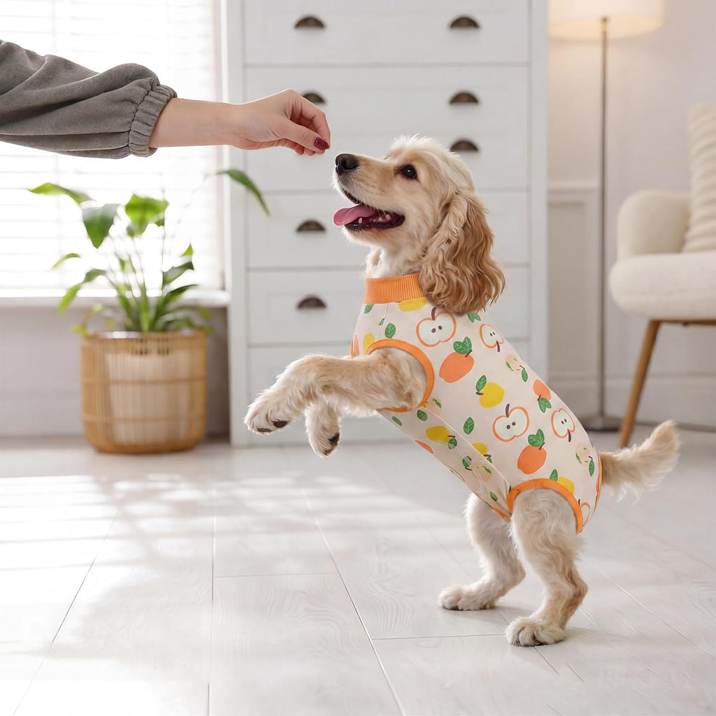 Miaododo brand pet recovery suit packaging and label