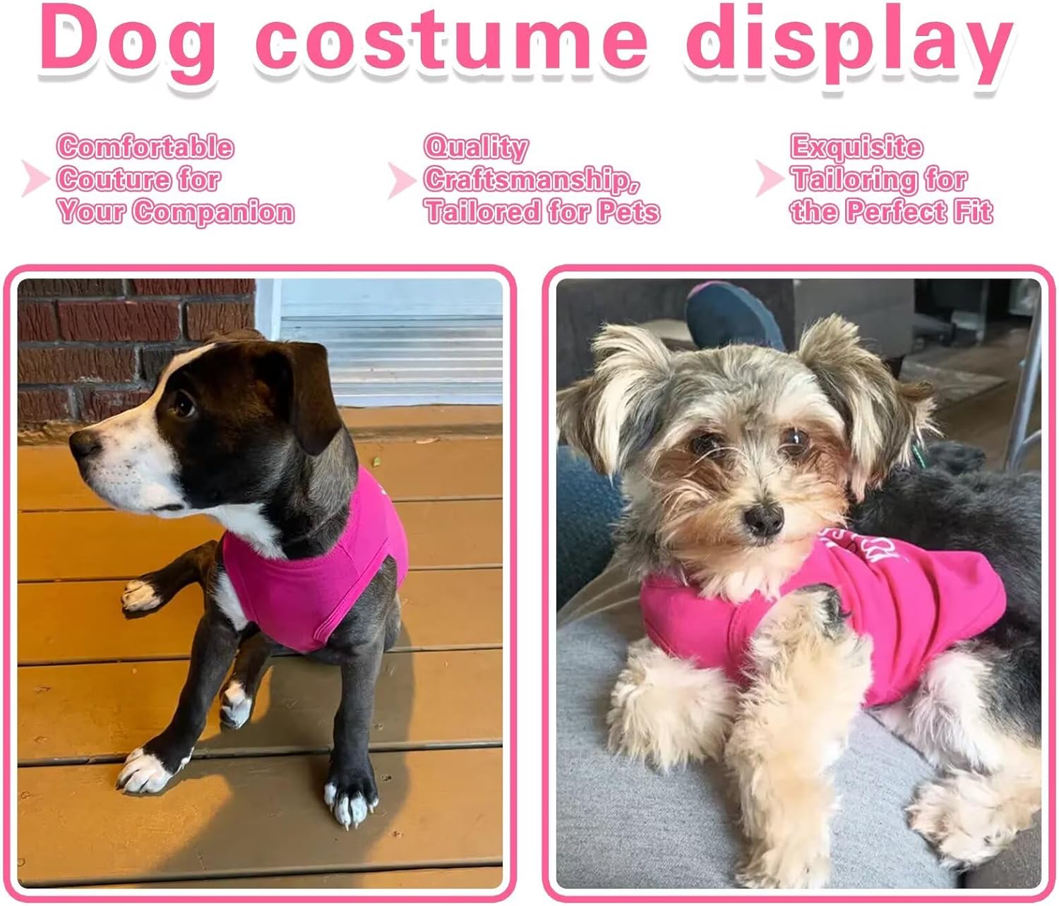 Detail of little miss princess slogan on pink dog apparel