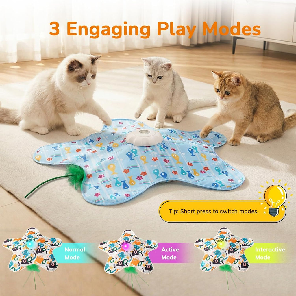 Packaging box view of Generisch two in one interactive cat toy mat.