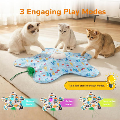 Packaging box view of Generisch two in one interactive cat toy mat.