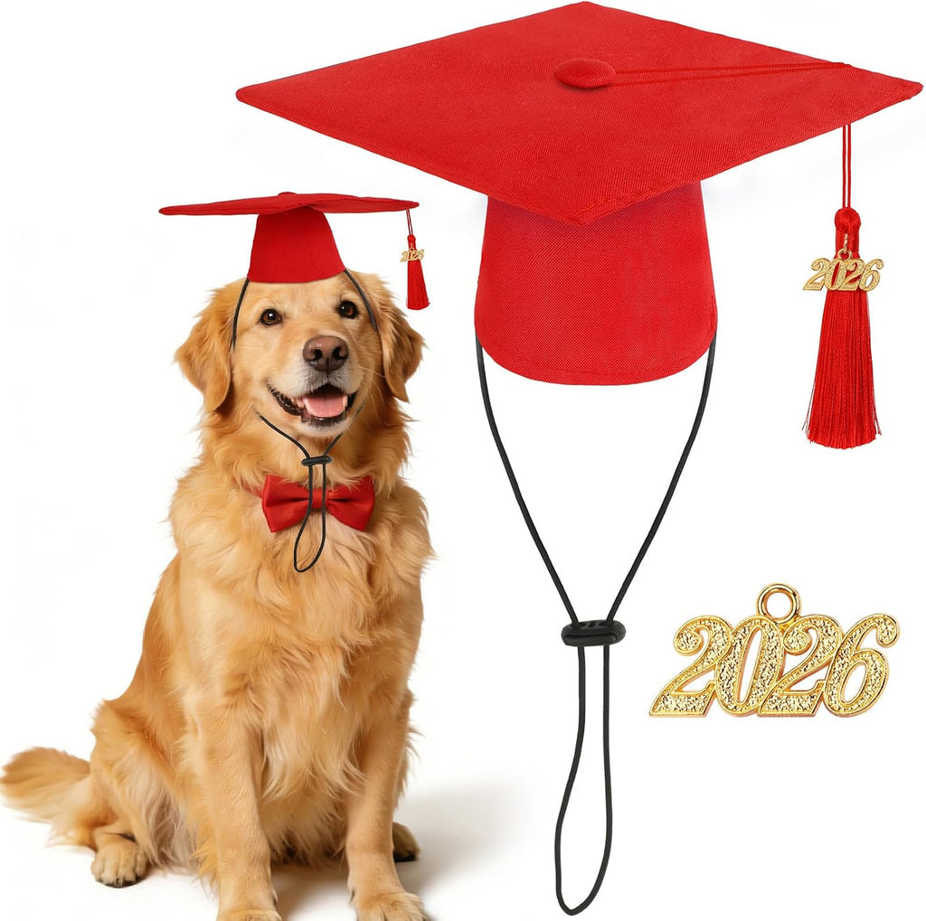 Small dog and cat graduation photo shoot accessories
