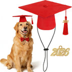 Small dog and cat graduation photo shoot accessories