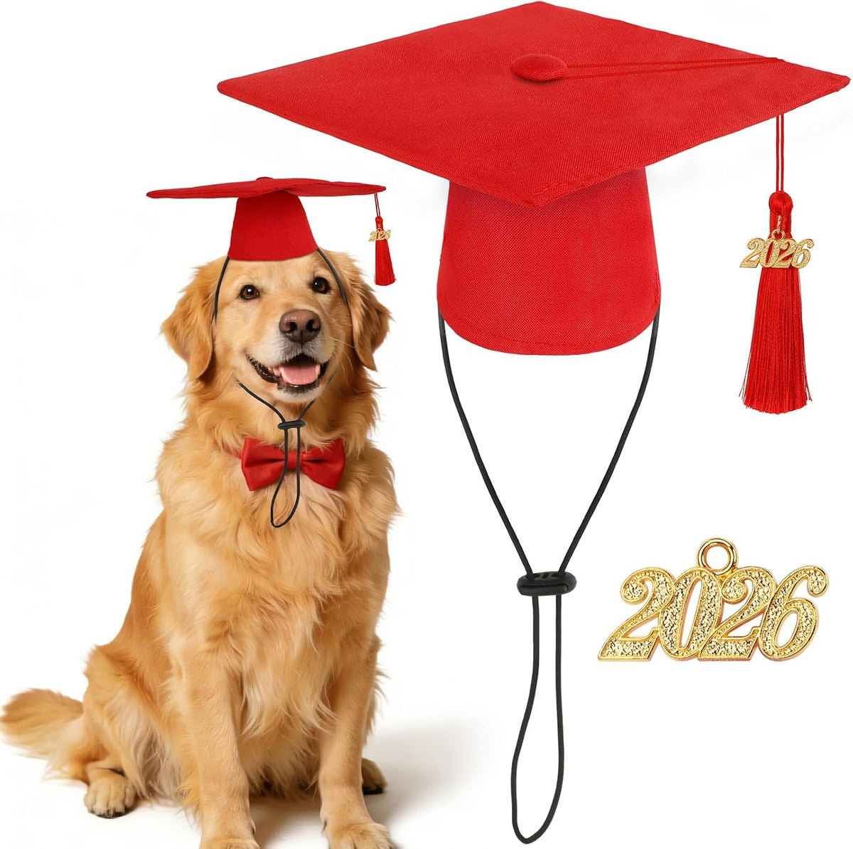 Small dog and cat graduation photo shoot accessories