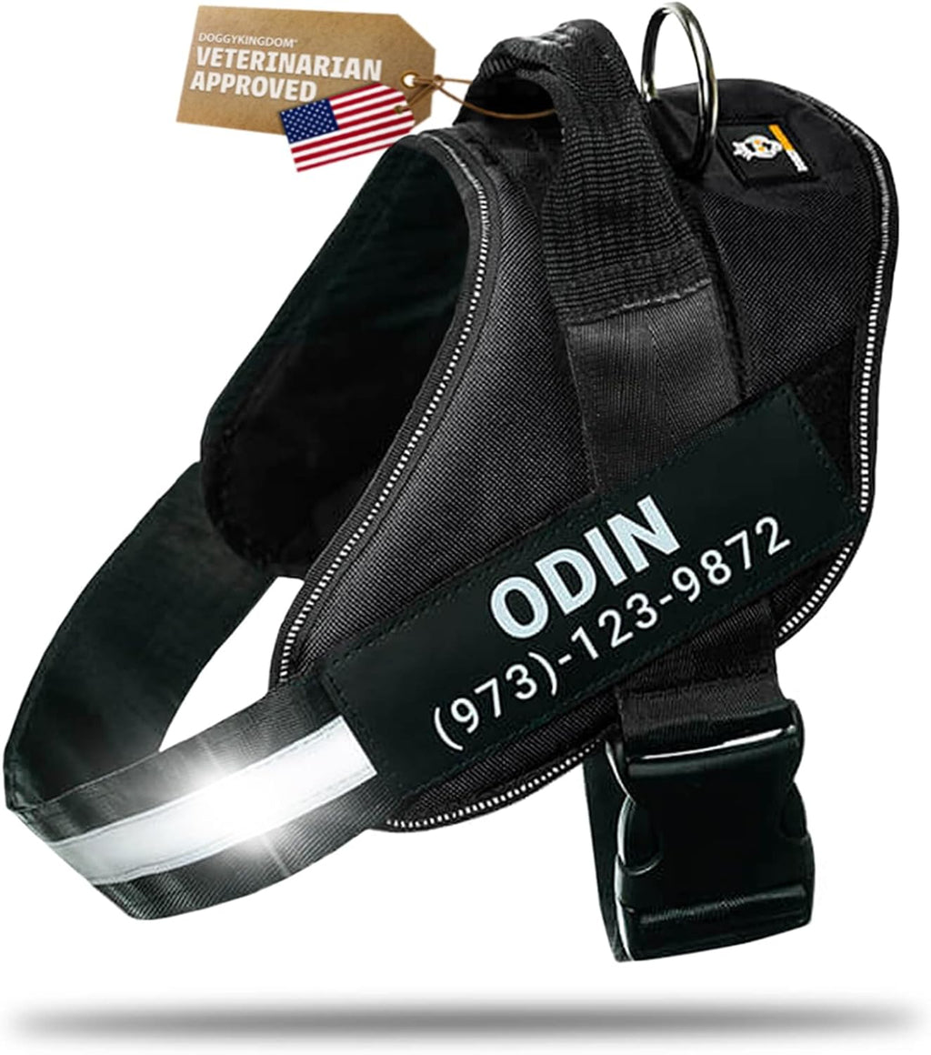 DOGGYKINGDOM Personalized Dog Harness with Custom Name Patches, Adjustable Reflective No Choke Dog Vest with Handle for Medium Sized Dog, Blue, M - Image 10