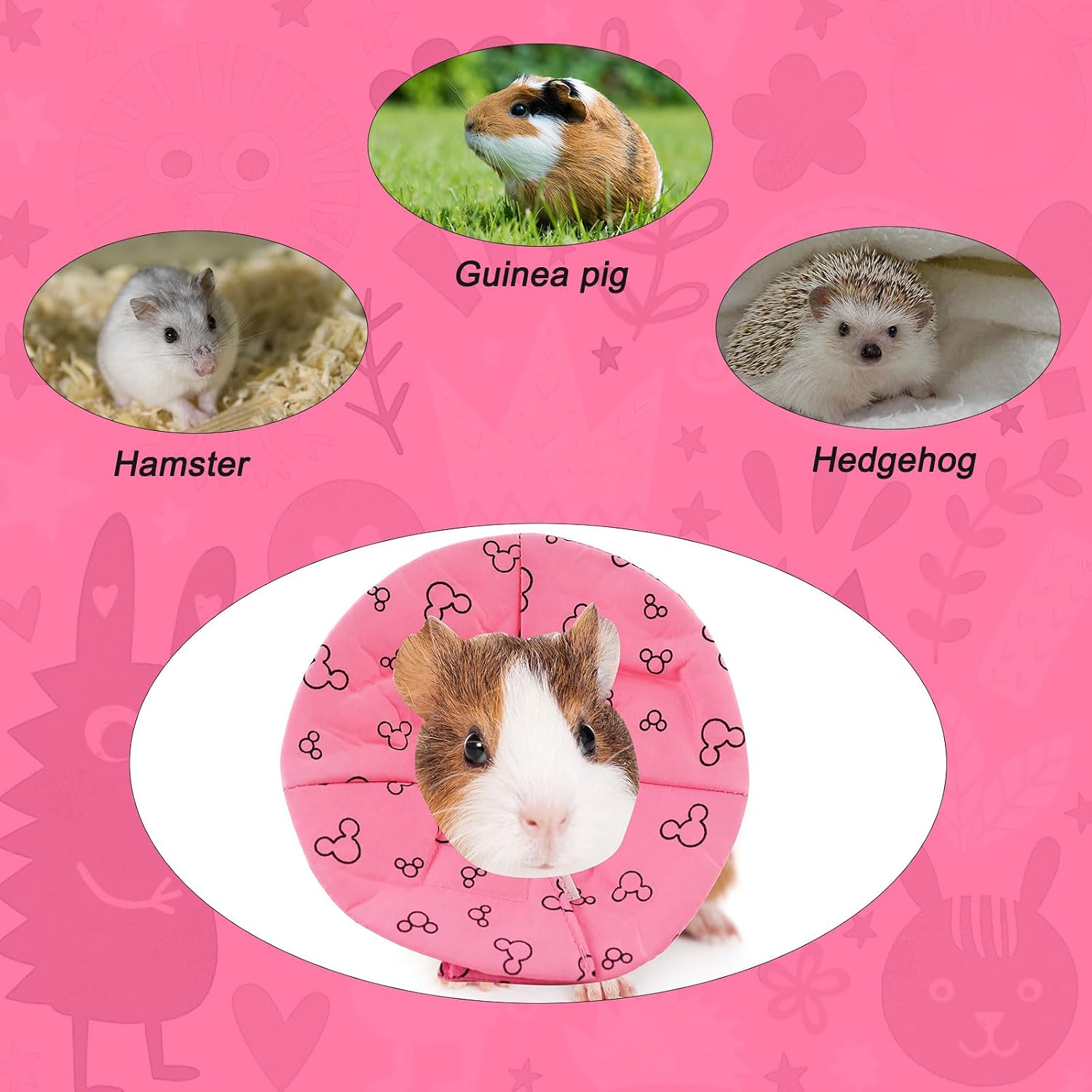 Andiker guinea pig protective collar dimensions and size small sizing guide chart