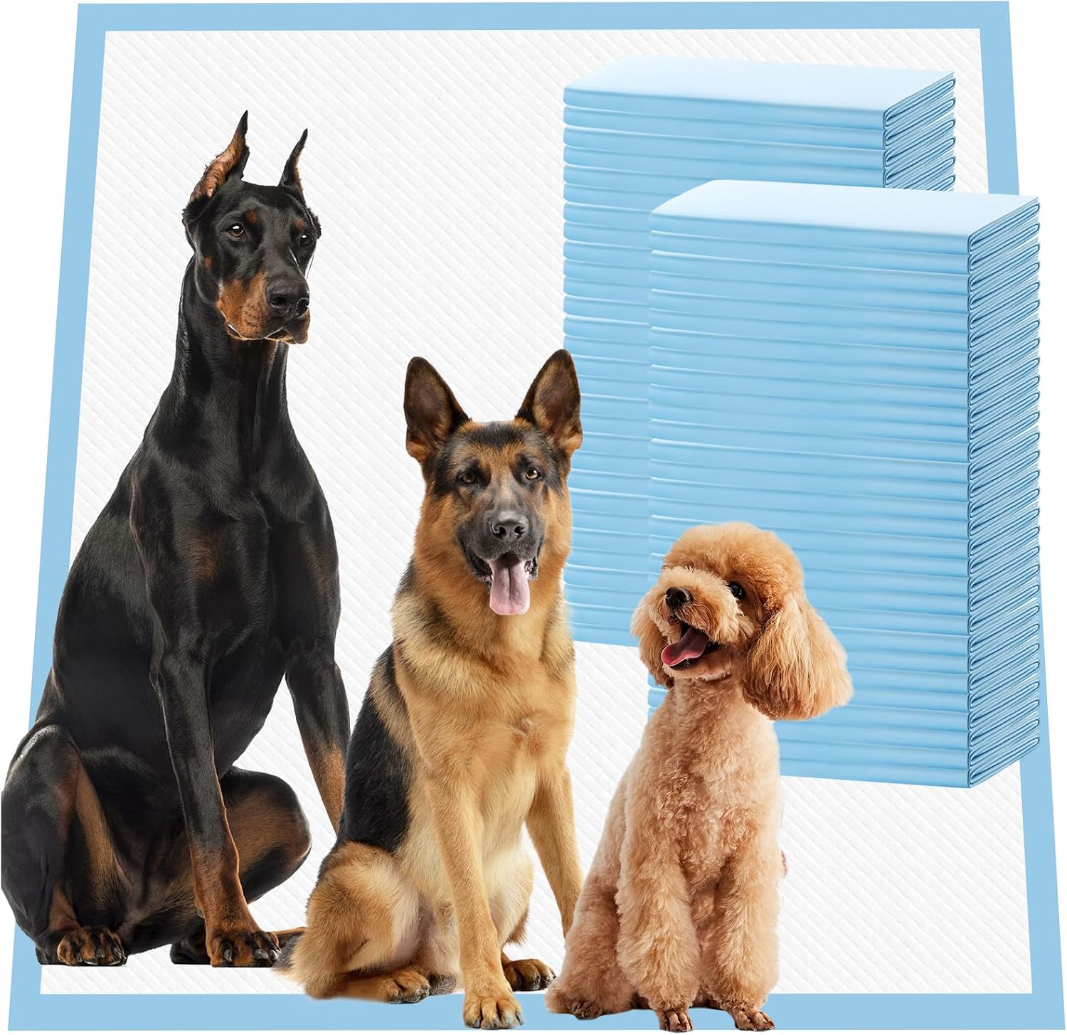 SCLOSE Pee Pads for Dogs Extra Large 30"x36", 50 Count Puppy Pads XXL, Potty Pads for Dogs, Super Absorbent & Leak-Proof, Disposable Training Pads for Puppies, Doggie Pads, Blue - Image 9