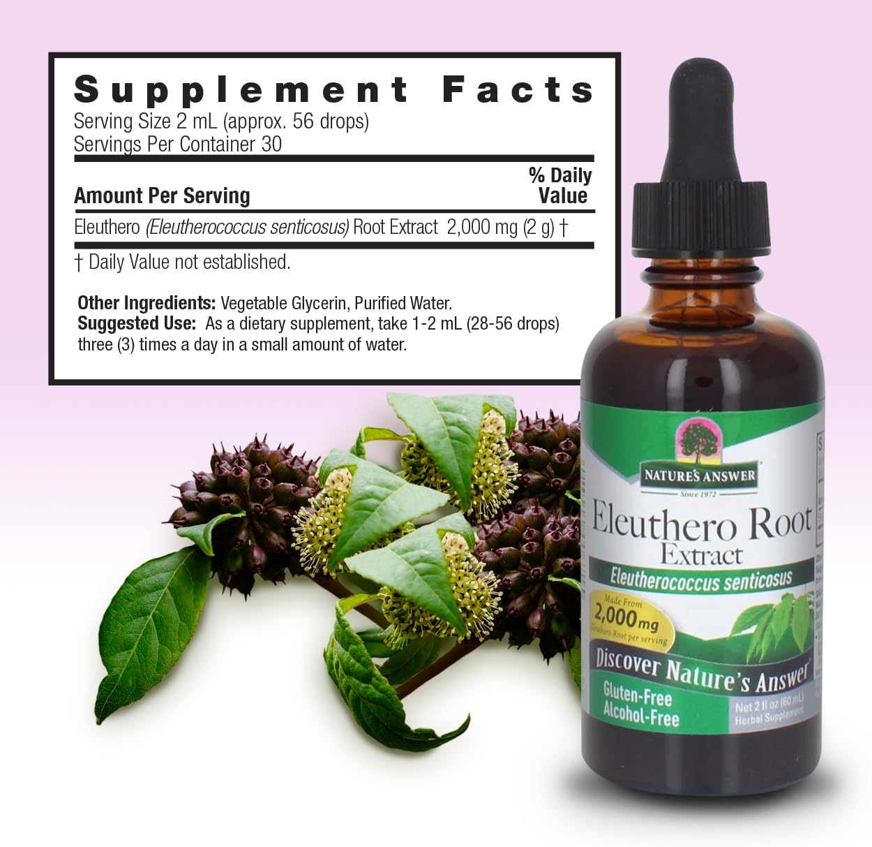Nature's Answer Eleuthero Root alcohol-free adaptogen bottle with measured dropper pipette shown